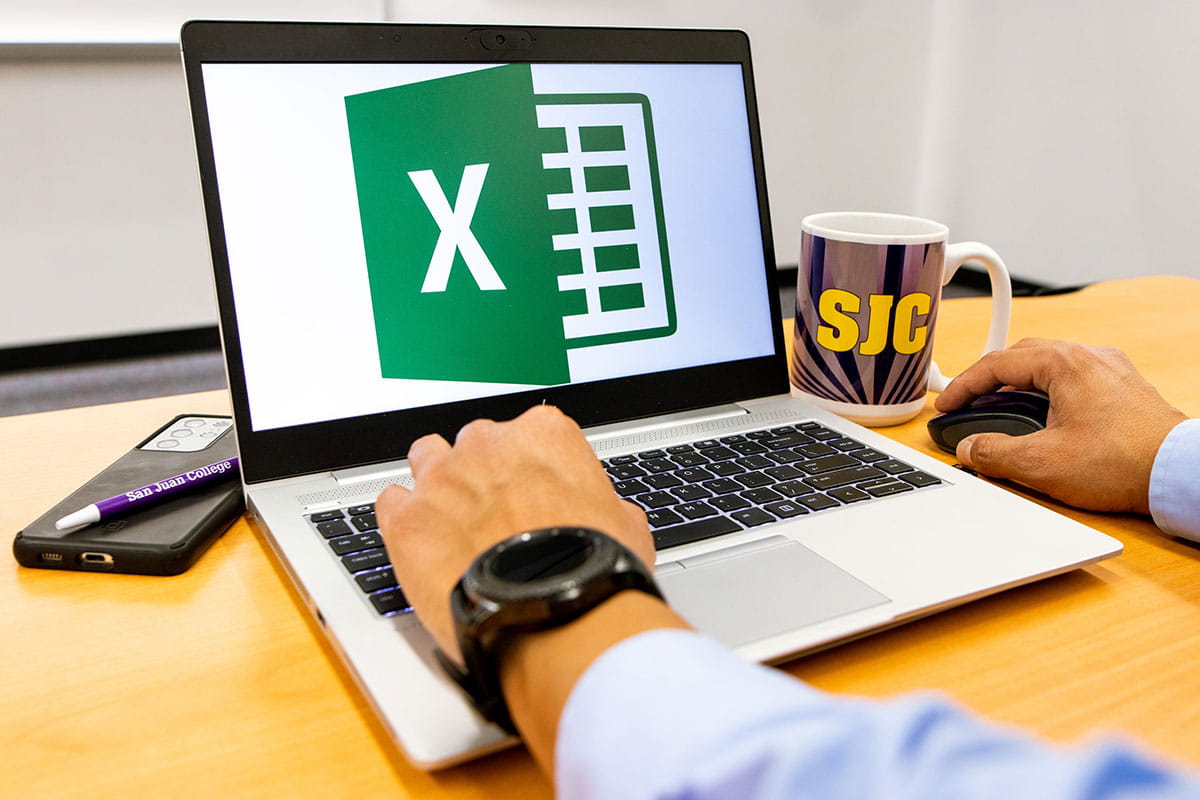 Excel King Spreadsheet Expert Mug 