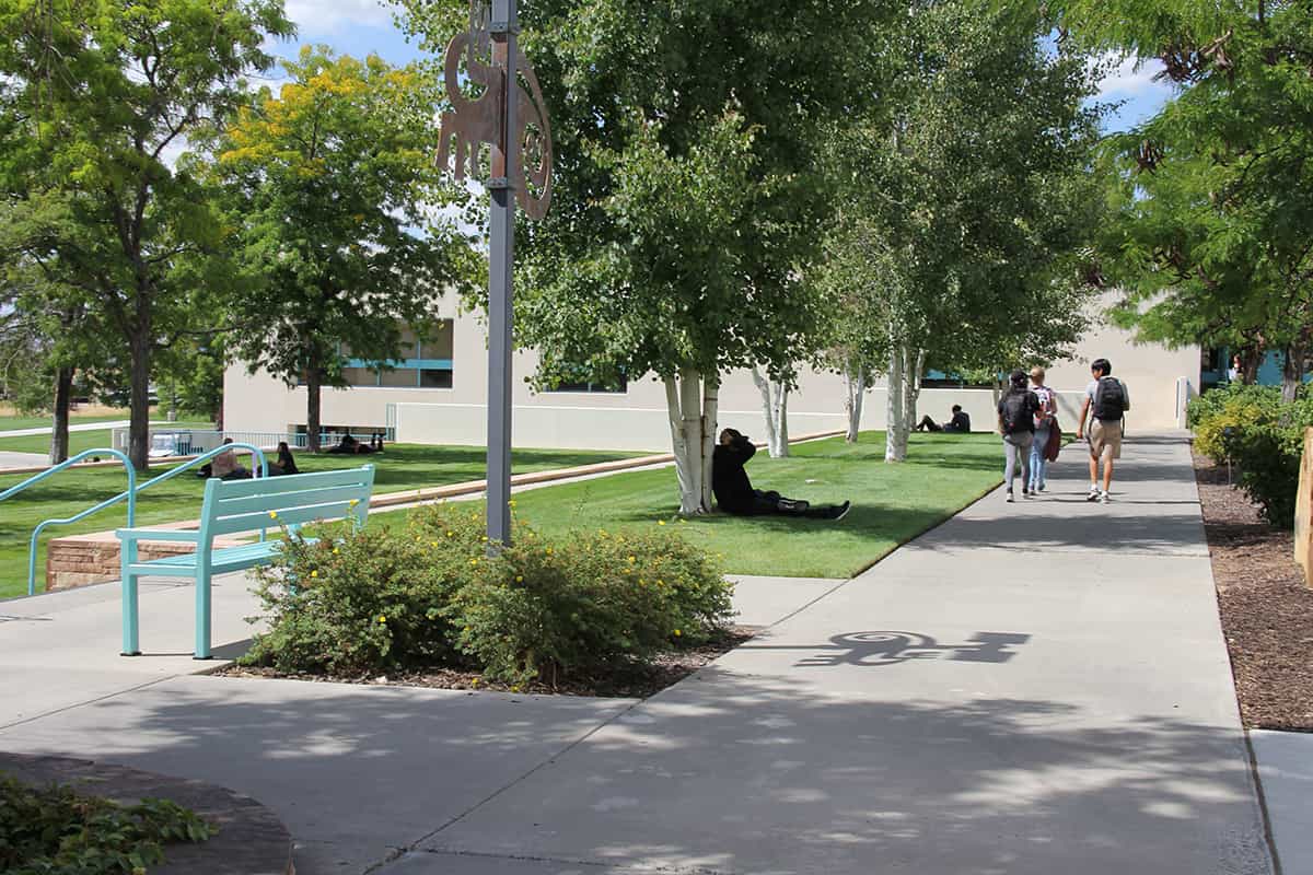 trees and students walking along sidewalks near the central classroom complex